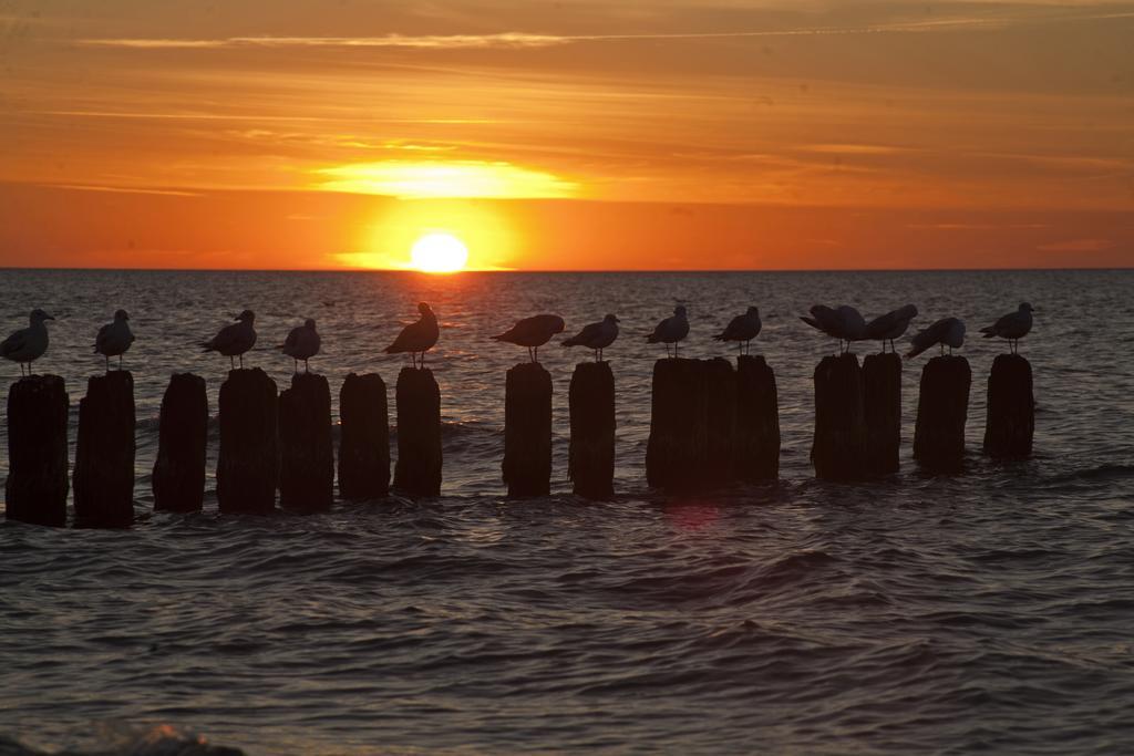 Portobello อุสตกา ภายนอก รูปภาพ